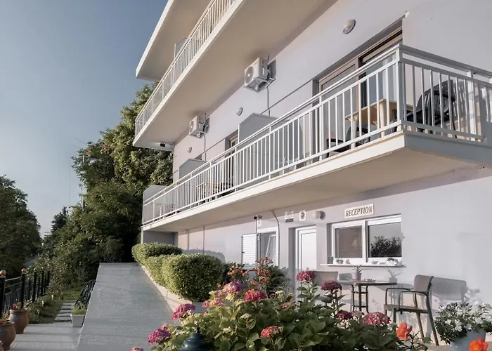 Отель Anesis 2*