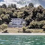 Anesis 2*