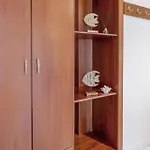 Отель Anesis