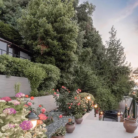 Anesis מלון פלטמונס