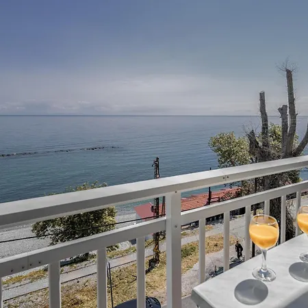 Anesis פלטמונס